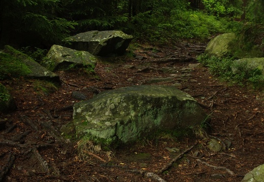 Zadov, Šumava 2013