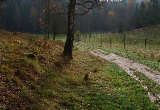 Jetřichovice -  Mariina skála